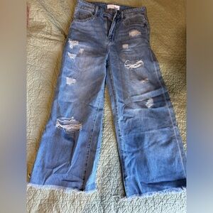 Vervet Cropped Extra-wide leg Jeans